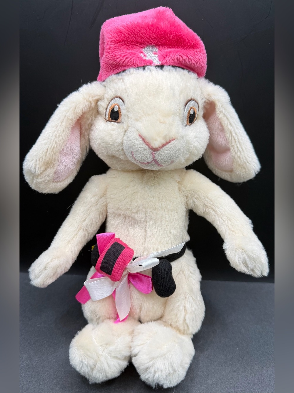 Build a Bear - Retired Hop 2011- Bunny, Approx 10 inches